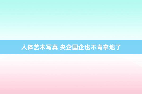 人体艺术写真 央企国企也不肯拿地了