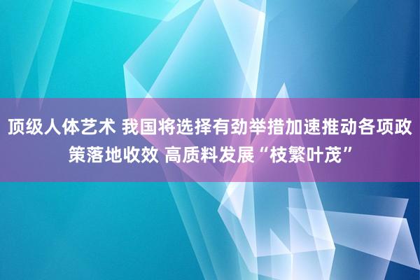 顶级人体艺术 我国将选择有劲举措加速推动各项政策落地收效 高质料发展“枝繁叶茂”