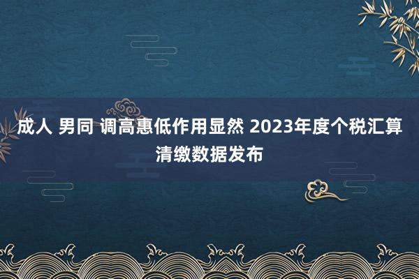 成人 男同 调高惠低作用显然 2023年度个税汇算清缴数据发布
