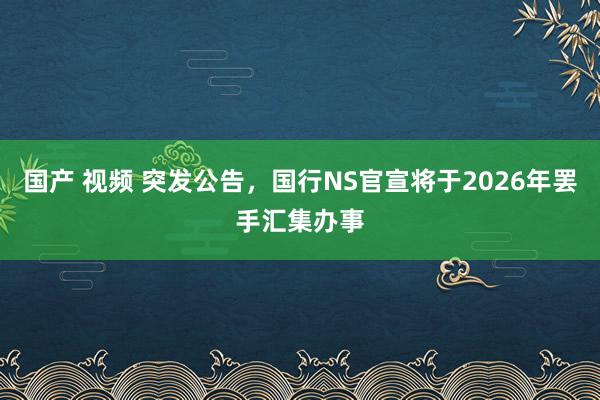 国产 视频 突发公告，国行NS官宣将于2026年罢手汇集办事
