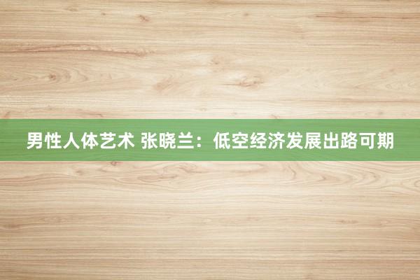 男性人体艺术 张晓兰：低空经济发展出路可期