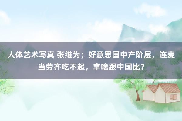 人体艺术写真 张维为；好意思国中产阶层，连麦当劳齐吃不起，拿啥跟中国比？