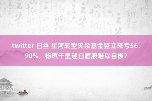 twitter 白丝 星河转型夹杂基金竖立来亏56.90%，杨琪千里迷白酒股难以自拔？