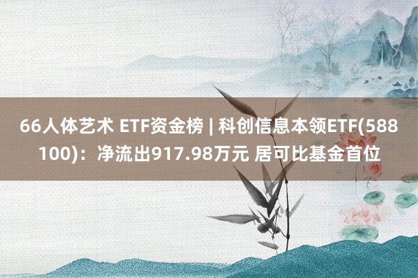 66人体艺术 ETF资金榜 | 科创信息本领ETF(588100)：净流出917.98万元 居可比基金首位