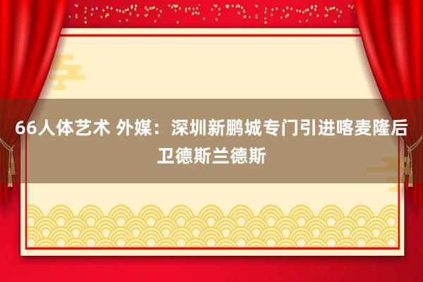 66人体艺术 外媒：深圳新鹏城专门引进喀麦隆后卫德斯兰德斯