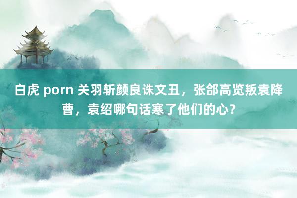 白虎 porn 关羽斩颜良诛文丑，张郃高览叛袁降曹，袁绍哪句话寒了他们的心？