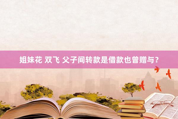 姐妹花 双飞 父子间转款是借款也曾赠与?