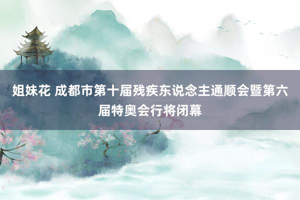 姐妹花 成都市第十届残疾东说念主通顺会暨第六届特奥会行将闭幕