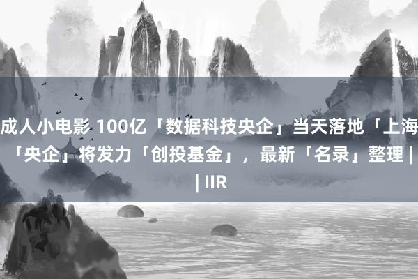 成人小电影 100亿「数据科技央企」当天落地「上海」， 「央企」将发力「创投基金」，最新「名录」整理 | IIR