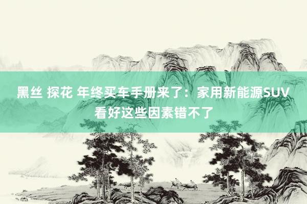 黑丝 探花 年终买车手册来了：家用新能源SUV看好这些因素错不了