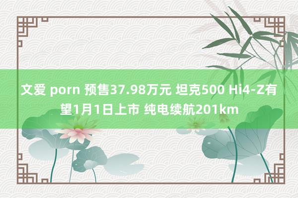 文爱 porn 预售37.98万元 坦克500 Hi4-Z有望1月1日上市 纯电续航201km