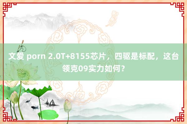 文爱 porn 2.0T+8155芯片，四驱是标配，这台领克09实力如何？