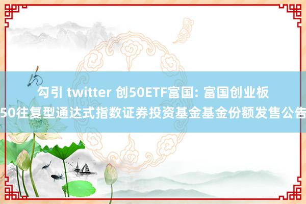 勾引 twitter 创50ETF富国: 富国创业板50往复型通达式指数证券投资基金基金份额发售公告
