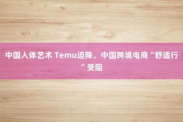 中国人体艺术 Temu迫降，中国跨境电商“舒适行”受阻