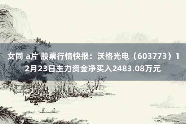 女同 a片 股票行情快报：沃格光电（603773）12月23日主力资金净买入2483.08万元