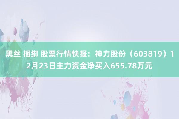黑丝 捆绑 股票行情快报：神力股份（603819）12月23日主力资金净买入655.78万元