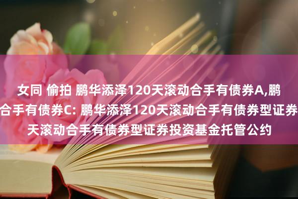 女同 偷拍 鹏华添泽120天滚动合手有债券A,鹏华添泽120天滚动合手有债券C: 鹏华添泽120天滚动合手有债券型证券投资基金托管公约
