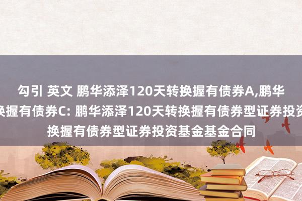 勾引 英文 鹏华添泽120天转换握有债券A,鹏华添泽120天转换握有债券C: 鹏华添泽120天转换握有债券型证券投资基金基金合同