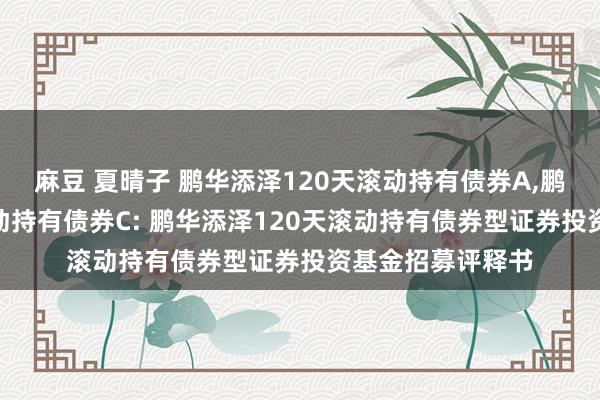 麻豆 夏晴子 鹏华添泽120天滚动持有债券A,鹏华添泽120天滚动持有债券C: 鹏华添泽120天滚动持有债券型证券投资基金招募评释书