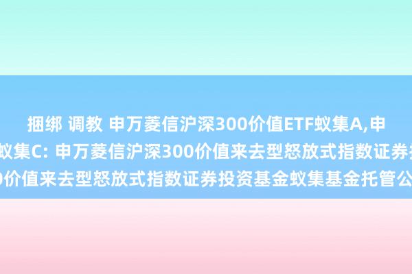 捆绑 调教 申万菱信沪深300价值ETF蚁集A,申万菱信沪深300价值ETF蚁集C: 申万菱信沪深300价值来去型怒放式指数证券投资基金蚁集基金托管公约