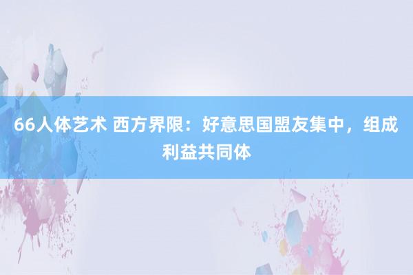 66人体艺术 西方界限：好意思国盟友集中，组成利益共同体