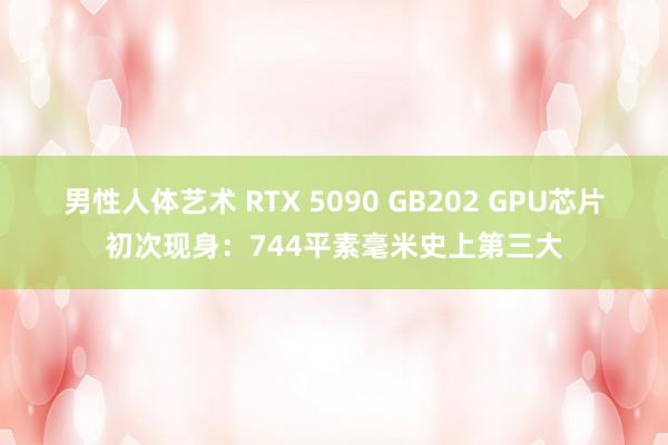 男性人体艺术 RTX 5090 GB202 GPU芯片初次现身：744平素毫米史上第三大