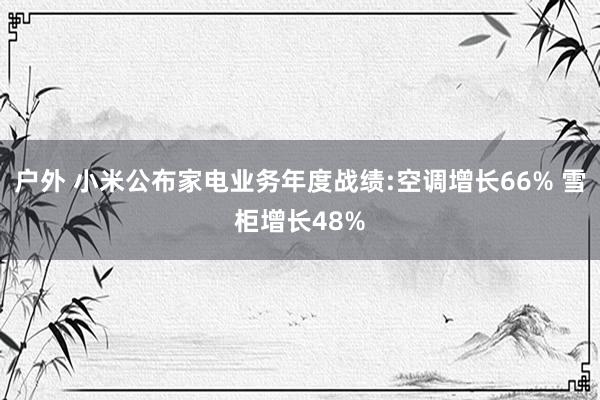 户外 小米公布家电业务年度战绩:空调增长66% 雪柜增长48%