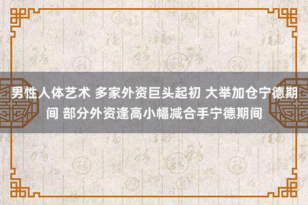 男性人体艺术 多家外资巨头起初 大举加仓宁德期间 部分外资逢高小幅减合手宁德期间