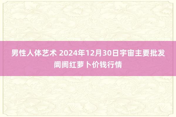 男性人体艺术 2024年12月30日宇宙主要批发阛阓红萝卜价钱行情