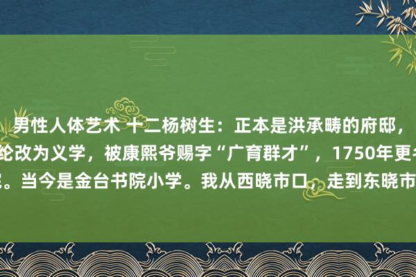 男性人体艺术 十二杨树生:正本是洪承畴的府邸,1702年被大清官施世纶改为义学,被康熙爷赐字“广育群才”,1750年更名为金台书院。当今是金台书院小学。我从西晓市口,走到东晓市口,在路北看到了这座教育。动作贰...