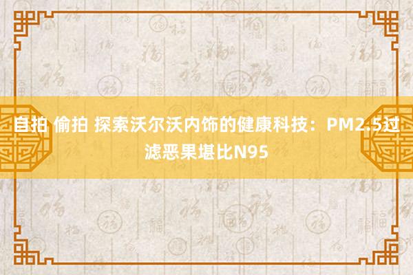 自拍 偷拍 探索沃尔沃内饰的健康科技：PM2.5过滤恶果堪比N95
