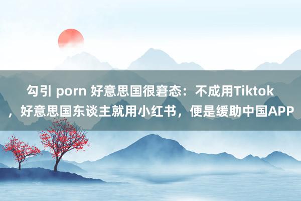 勾引 porn 好意思国很窘态：不成用Tiktok，好意思国东谈主就用小红书，便是缓助中国APP