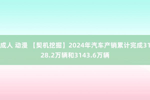 成人 动漫 【契机挖掘】2024年汽车产销累计完成3128.2万辆和3143.6万辆