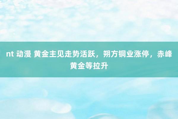 nt 动漫 黄金主见走势活跃，朔方铜业涨停，赤峰黄金等拉升