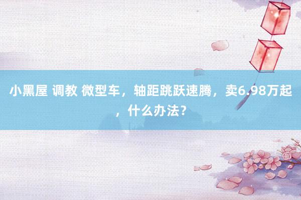 小黑屋 调教 微型车，轴距跳跃速腾，卖6.98万起，什么办法？
