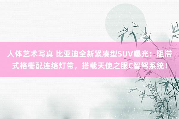 人体艺术写真 比亚迪全新紧凑型SUV曝光：阻滞式格栅配连络灯带，搭载天使之眼C智驾系统！