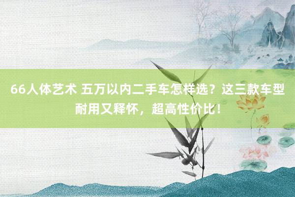 66人体艺术 五万以内二手车怎样选？这三款车型耐用又释怀，超高性价比！