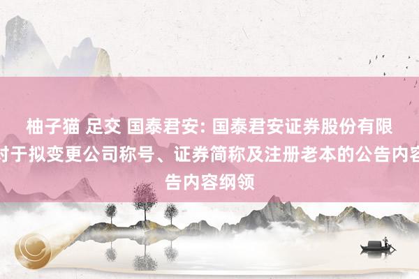 柚子猫 足交 国泰君安: 国泰君安证券股份有限公司对于拟变更公司称号、证券简称及注册老本的公告内容纲领