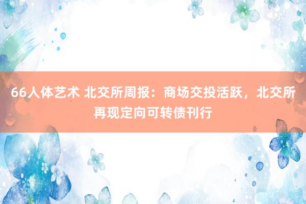 66人体艺术 北交所周报：商场交投活跃，北交所再现定向可转债刊行