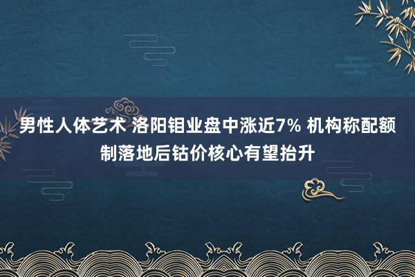 男性人体艺术 洛阳钼业盘中涨近7% 机构称配额制落地后钴价核心有望抬升