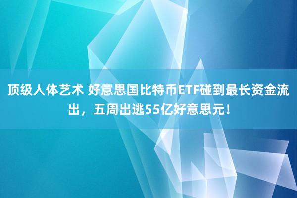 顶级人体艺术 好意思国比特币ETF碰到最长资金流出，五周出逃55亿好意思元！