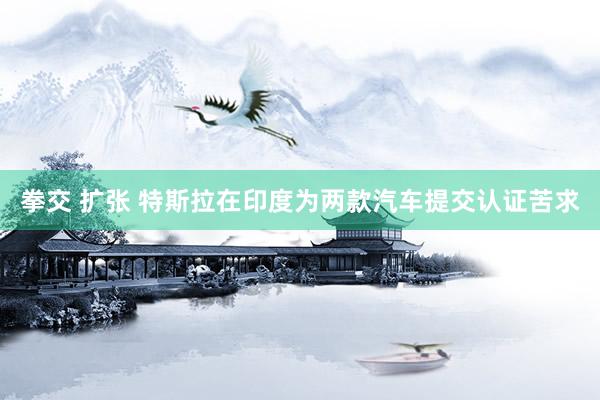 拳交 扩张 特斯拉在印度为两款汽车提交认证苦求