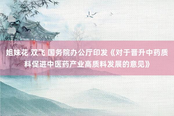 姐妹花 双飞 国务院办公厅印发《对于晋升中药质料促进中医药产业高质料发展的意见》