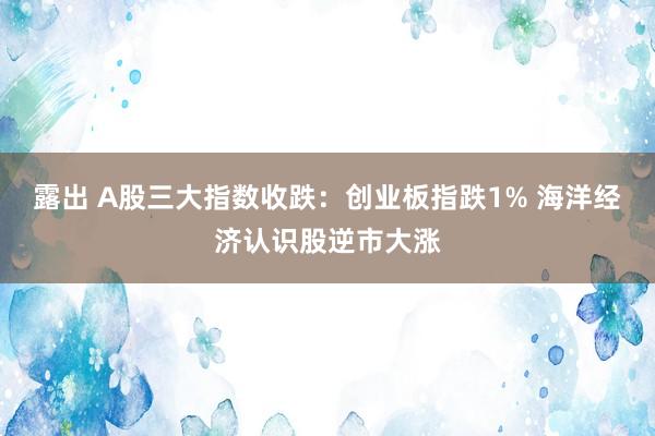 露出 A股三大指数收跌：创业板指跌1% 海洋经济认识股逆市大涨