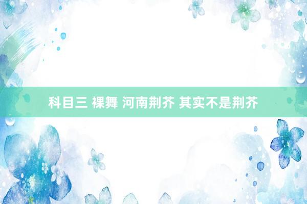 科目三 裸舞 河南荆芥 其实不是荆芥