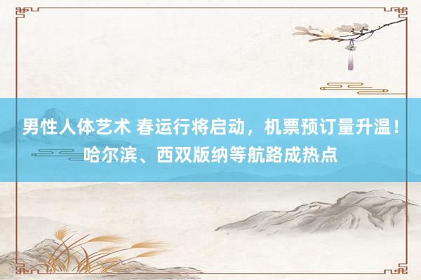 男性人体艺术 春运行将启动，机票预订量升温！哈尔滨、西双版纳等航路成热点