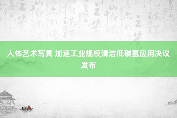 人体艺术写真 加速工业规模清洁低碳氢应用决议发布