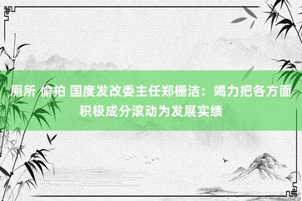 厕所 偷拍 国度发改委主任郑栅洁：竭力把各方面积极成分滚动为发展实绩