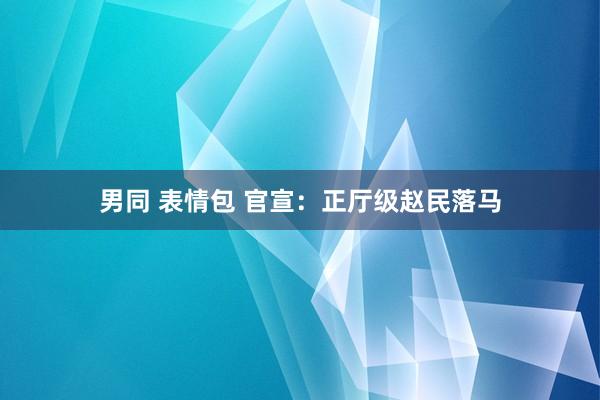 男同 表情包 官宣：正厅级赵民落马