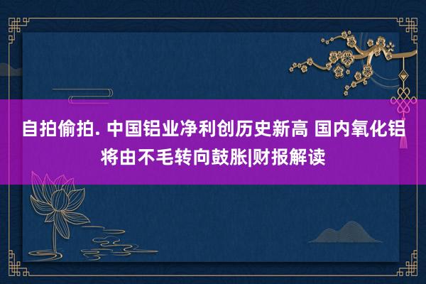 自拍偷拍. 中国铝业净利创历史新高 国内氧化铝将由不毛转向鼓胀|财报解读
